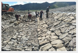 ຣʡSӸ鹤̣_(d)տh